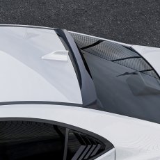 画像4: トップウィング ルーフスポイラー (4)